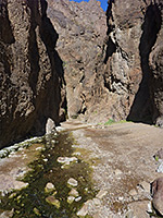 The lower canyon