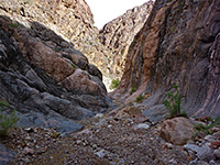 Pebbly streambed