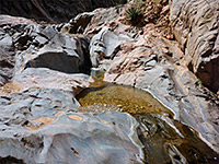 Pool and small cascade