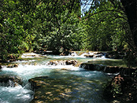 Havasu Creek