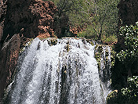 Top of Havasu Falls