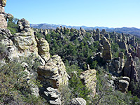 Pinnacles and trees