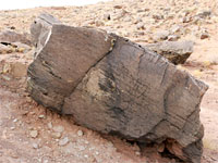 Boulder with rock art