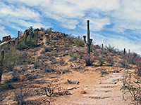 Steps on the Hugh Norris Trail