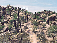 Trails of Arizona
