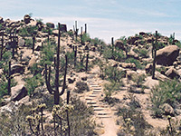 The path to Wasson Peak