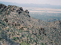 Ridge west of Amole Peak