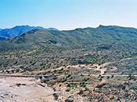 Joshua tree basin