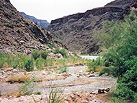 Junction of Diamond Creek with the Colorado River