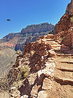 Steps on the trail