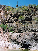 Cliffs with cacti