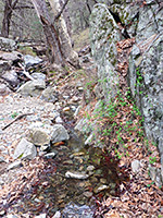 Pool below Kent Spring