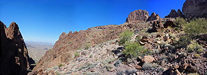 Bench above Palm Canyon