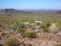 Kofa National Wildlife Refuge