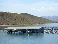 Scorpion Bay Marina