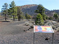 O'Leary Peak