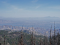 Tuscon, from the summit