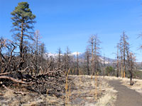 Lenox Crater Trail