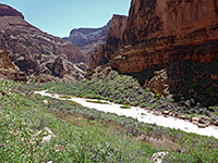 Bushy river sides