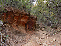 Dry streambed