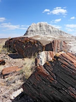 Logs and mound