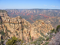 Coconino National Forest