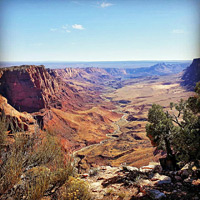 photograph