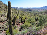 The view south