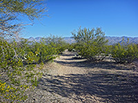 Mica View Trail