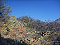 Ruins of a miner's cabin