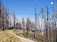 Top of Mount Lemmon