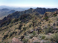 Boulders and shrubs