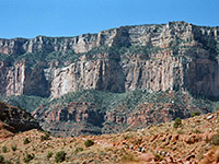 Mules ascending the trail