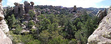 Pinnacles and trees