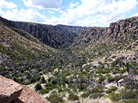 North Bonita Canyon
