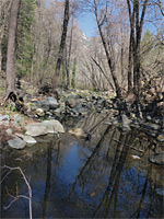 Pool along the creek