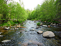 Allens Bend Trail