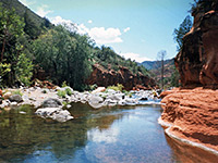 photograph