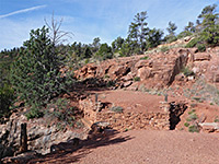 photograph