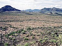Wide view over the desert