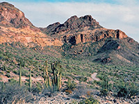 Ajo Mountains