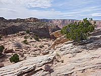 Thin-layered sandstone