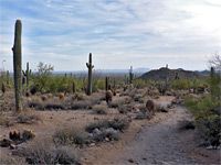 Stony path