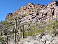 Rocky slope