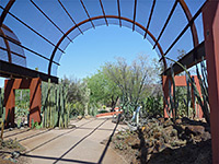 Desert Botanical Garden