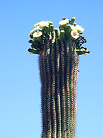 photograph