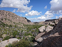 Tree-lined valley