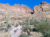 Approaching the mountain