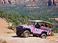 Pink jeep