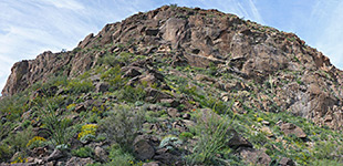 Cliffs below the summit